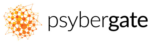 Business Analyst image