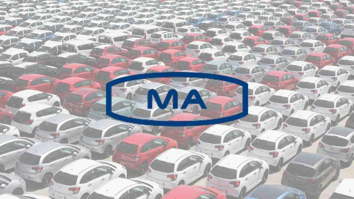 Y.E.S. Programme Participant image