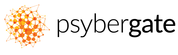 Data Engineer image
