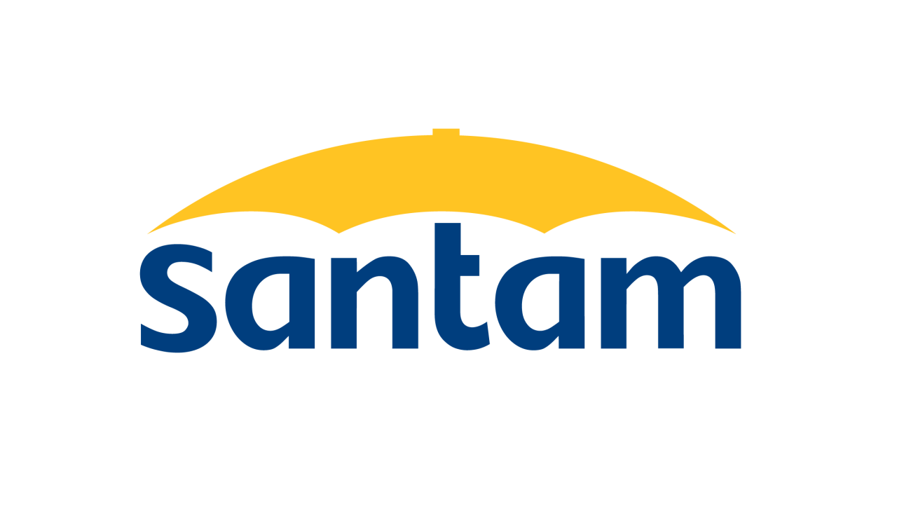Santam Bursary image