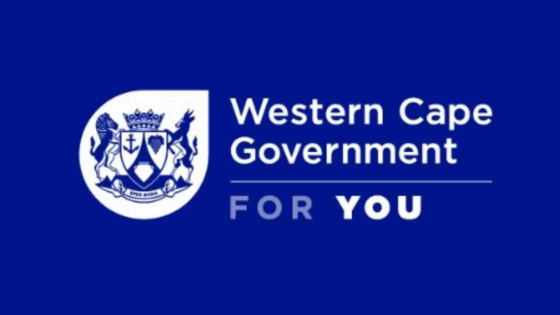 First Work Experience Pay Programme  Internship image