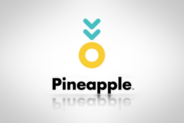 Graduate Developer image