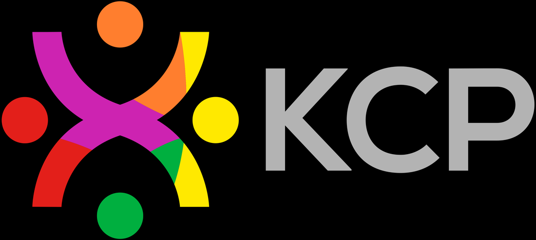 Software Dev Pivot Programme image