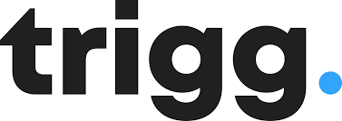 Salesforce Developer image